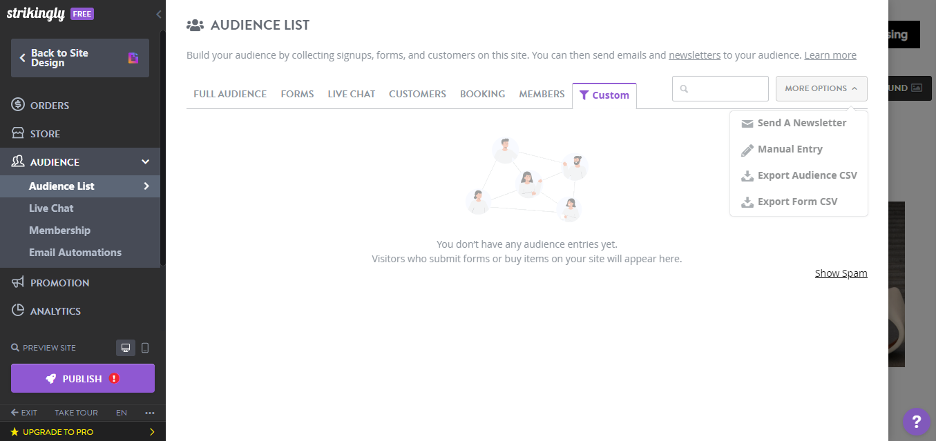 Strikingly Collaborators Features
